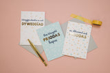 SALE Welsh card bundle - Occasions - Dyddiau Llawen