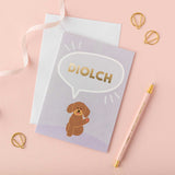 SALE - SMALL Welsh card bundle - 40% off!