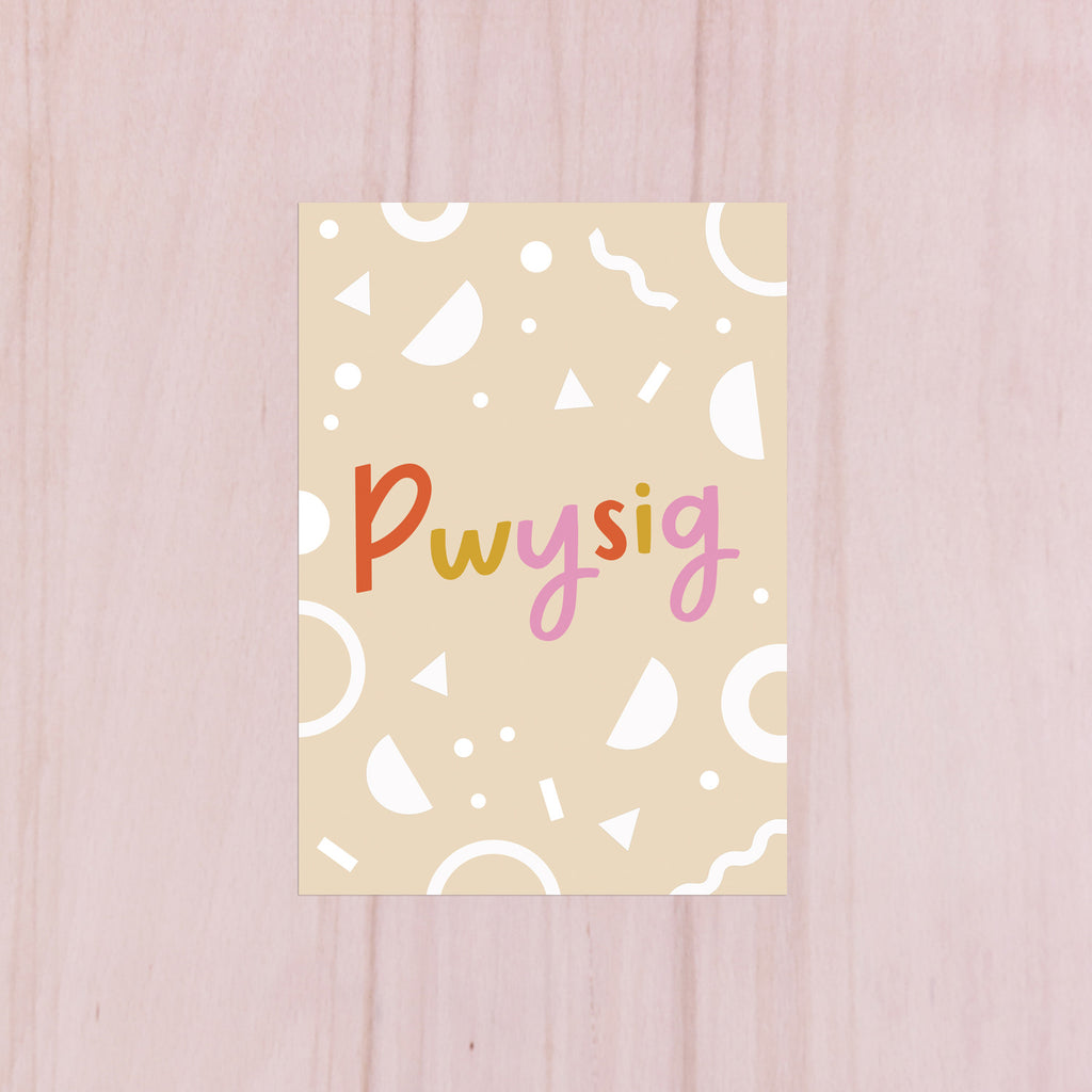 Welsh Notebook 'Pwysig' - Nansi Nudd