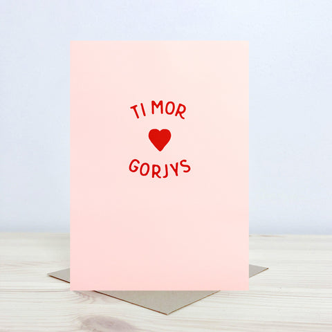 Welsh Love card 'Ti mor gorjys' - Nansi Nudd