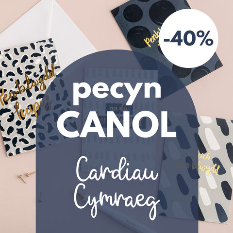 SALE - MEDIUM Welsh card bundle - 40% off!