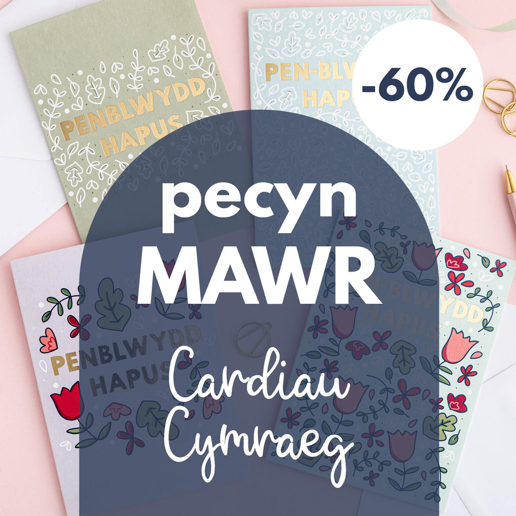 SALE - BIG Welsh card bundle - 60% off!