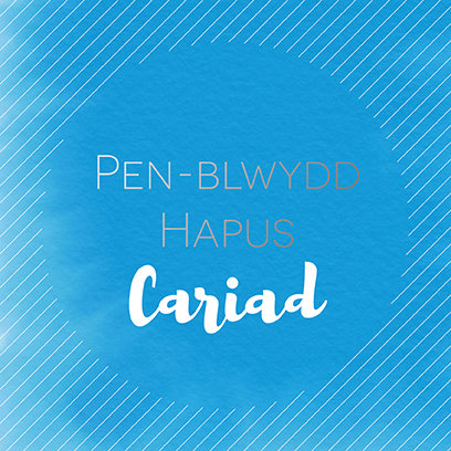 Welsh birthday card 'Pen-blwydd hapus Cariad' - Draenog